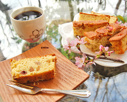 春らんまんセット 2015