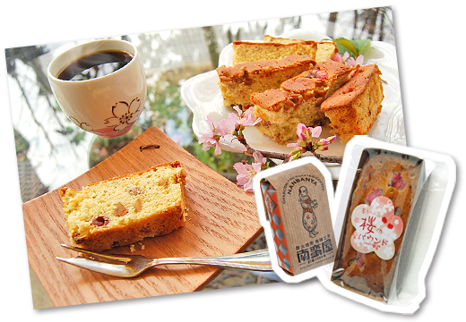 春らんまんセット 2016