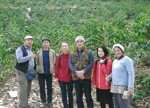 台湾コーヒー農園視察