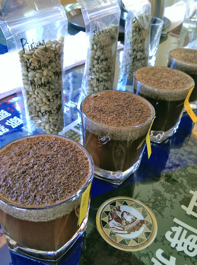 台湾産コーヒー豆のカッピング