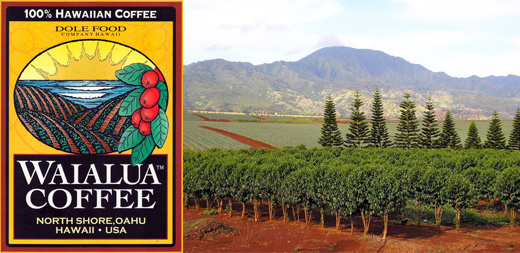 ハワイ オアフ島・ワイアルア農園