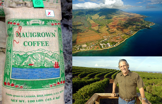 ハワイ マウイ島・カアナパリ農園<