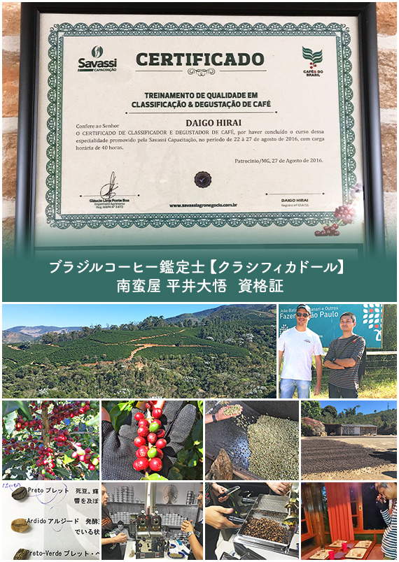 ブラジルコーヒー鑑定士【クラシフィカドール】南蛮屋 平井大悟 資格証