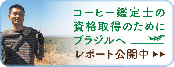 ブラジルコーヒー鑑定士【クラシフィカドール】資格取得レポート