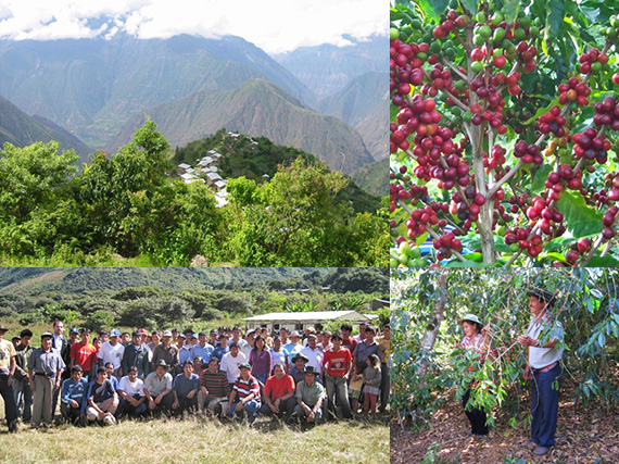 ペルー クスコ インカワシ組合