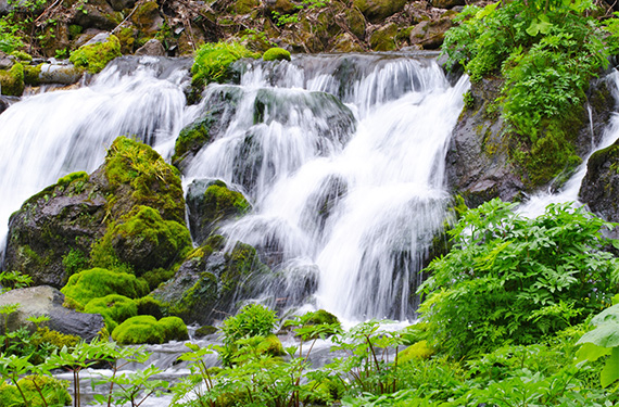 北海道羊蹄山 環境省名水百選「羊蹄のふきだし湧水」