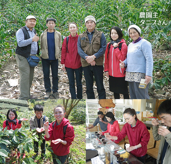 台湾 阿里山珈琲 走廊珈琲園（コリドー農園） ヤユヌ・エリア
