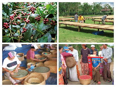 インドネシア バリ島 神山（しんざん）