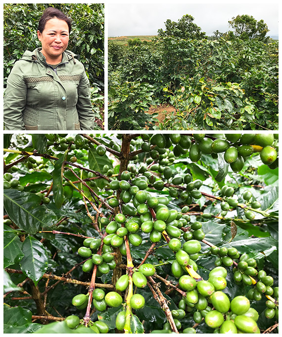 農園主であるファン・ティー・マイリーさん