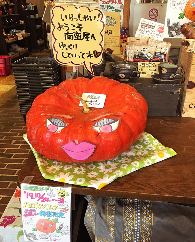 ハロウィンおばけかぼちゃの体重測定