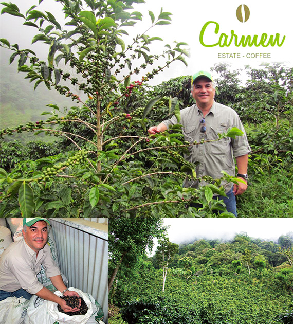 パナマ カルメン農園