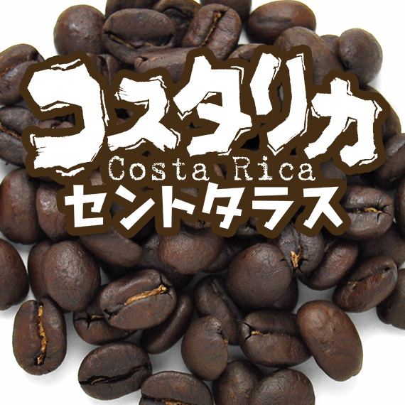 炭火焙煎コーヒー豆『コスタリカ セントタラス』