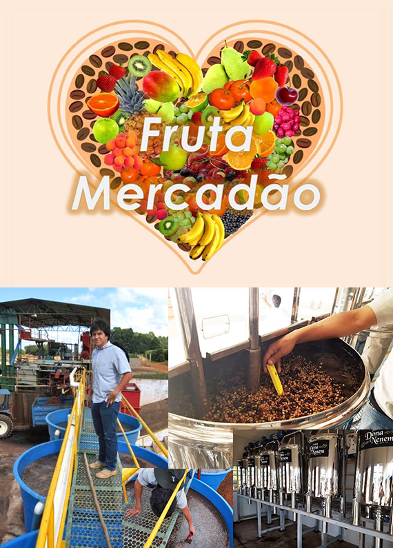 ブラジル フルッタ・メルカドン アナエロビック ナチュラル 2021