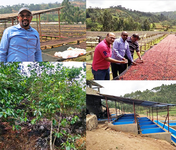 ブルンジ ブジラCWS ナチュラル