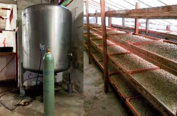 カーボニックマセレーションの精製