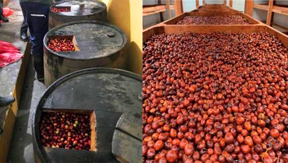 ラムバレルエイジドの精製