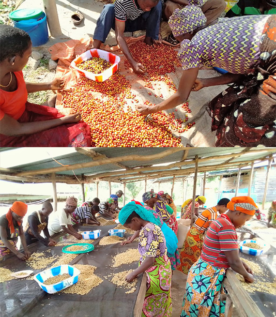 生産者団体「リビルド・ウーマンズ・ホープ（Rebuild Women's Hope）」