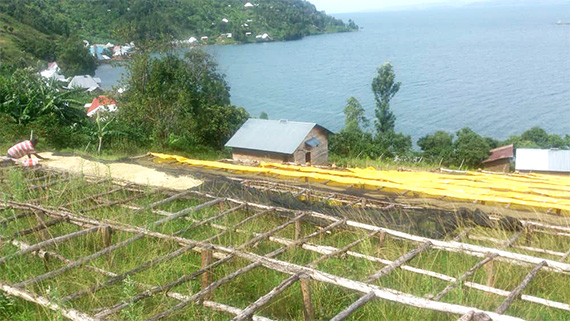 生産者団体「リビルド・ウーマンズ・ホープ（Rebuild Women's Hope）」