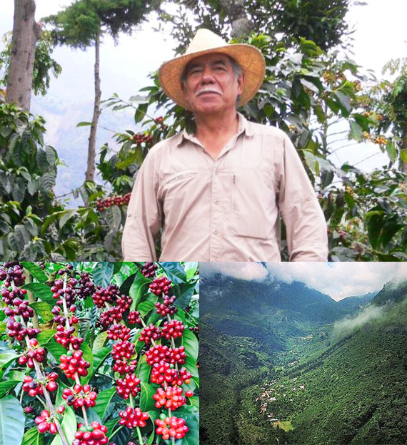 グァテマラ エルインヘルト ゲイシャ 2022