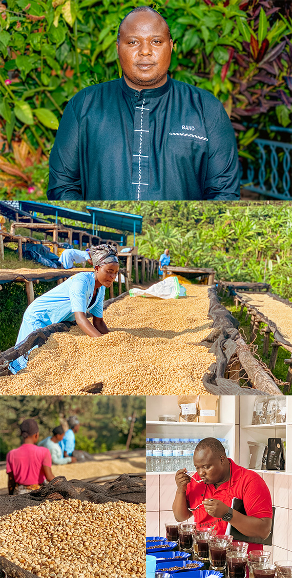 コンゴ ニャマササCWS ブルボン