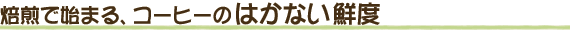 焙煎で始まる、コーヒーのはかない鮮度