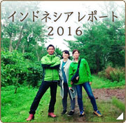 コーヒー豆産地訪問 インドネシアレポート2016