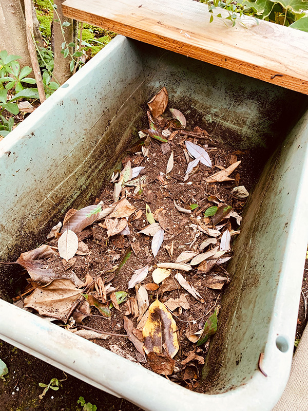 コーヒーガラと庭の落ち葉や草、カフェで出た生ゴミなどで簡易コンポスト