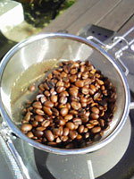 自家焙煎に挑戦！！