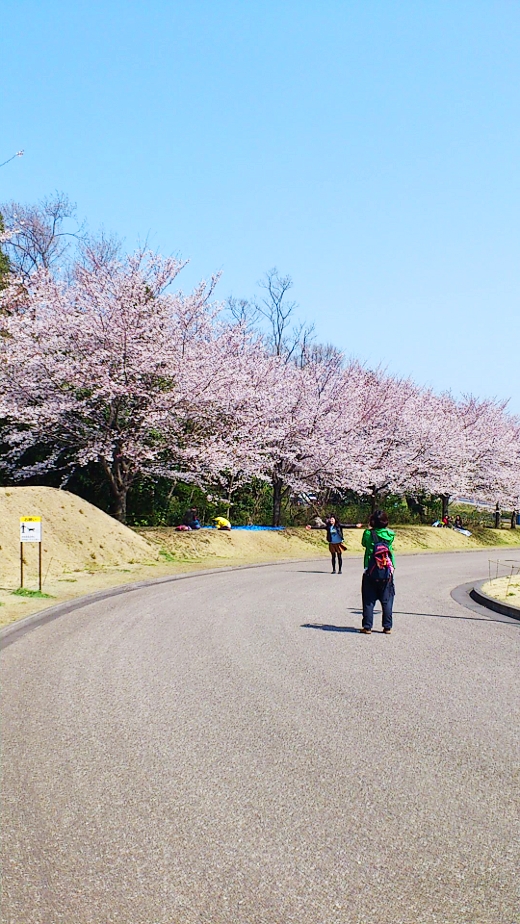 ぼうさいの丘公園