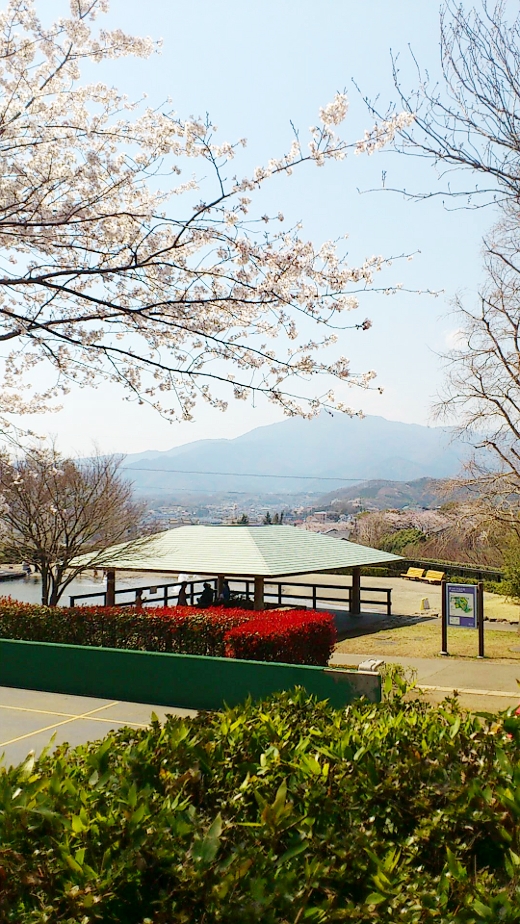 ぼうさいの丘公園