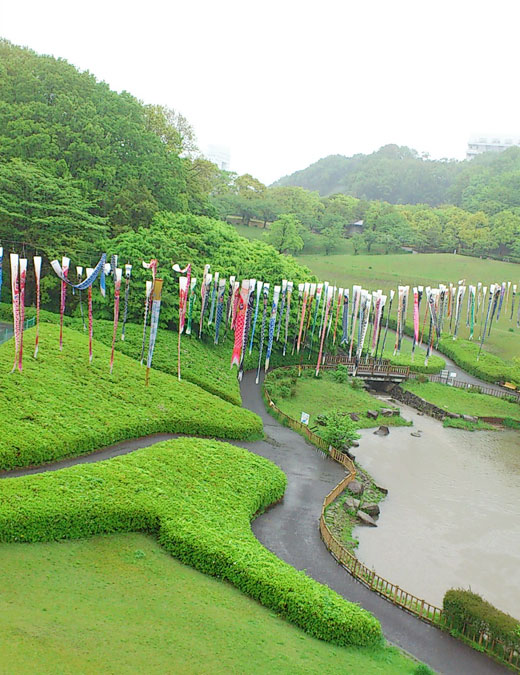 シシャモみたいな若宮公園の鯉のぼり