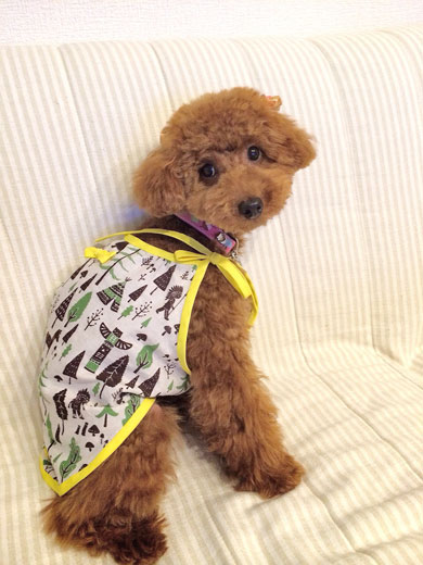 虫除けバンダナで愛犬の虫除けウエアーを作成