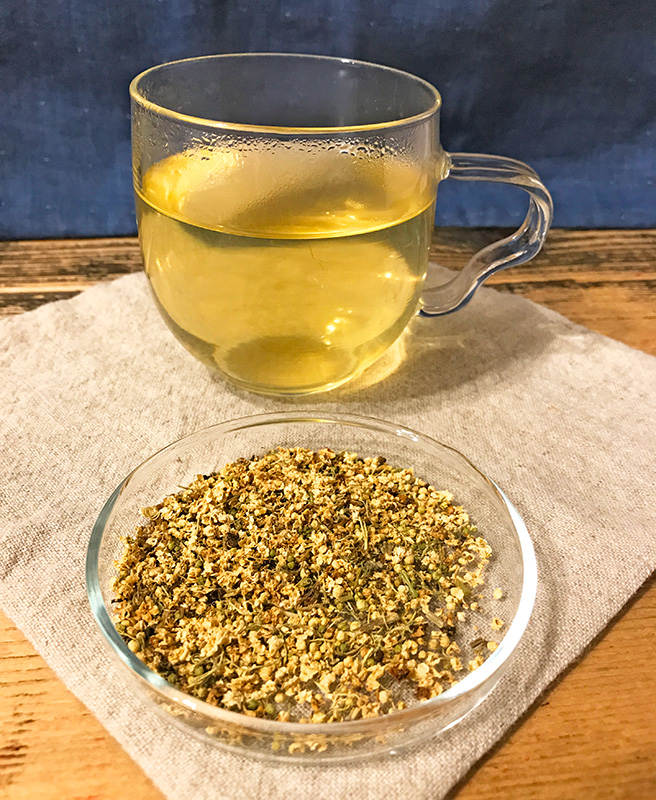 エルダーフラワー　和名：セイヨウニワト