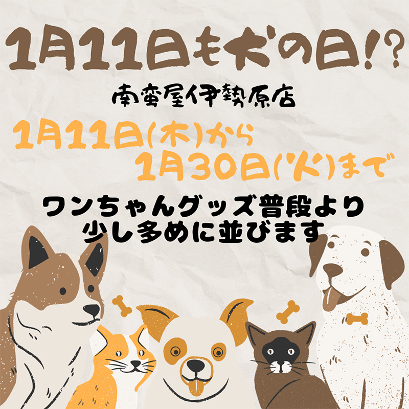 1月11日も犬の日！？