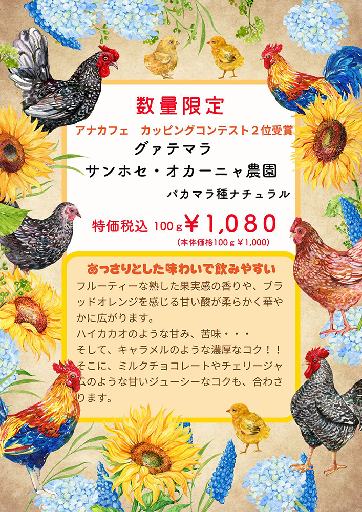 グァテマラ・サンホセ・オカーニャ農園 パカラマ種ナチュラル