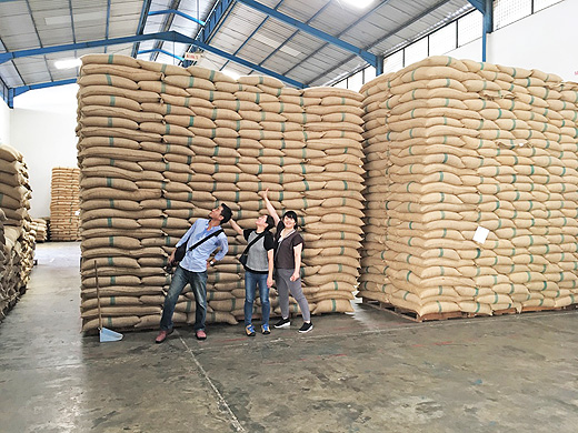 インドネシア メダンにあるサリマクムール社のコーヒー工場見学