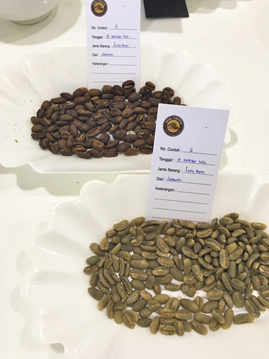 ロングベリーのコーヒー生豆