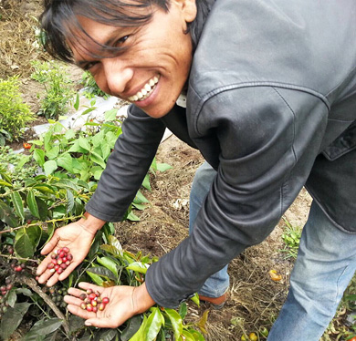 インドネシア リントン地区のコーヒー小農家にて