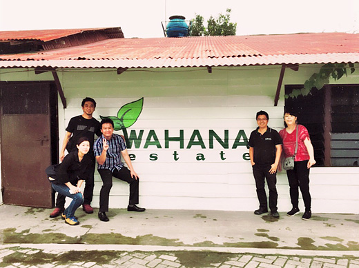 インドネシア コーヒー豆 産地訪問