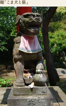 題「こま犬と猫」
