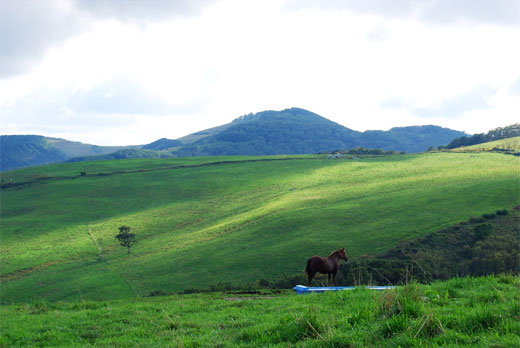 十勝ナイタイ町営牧場