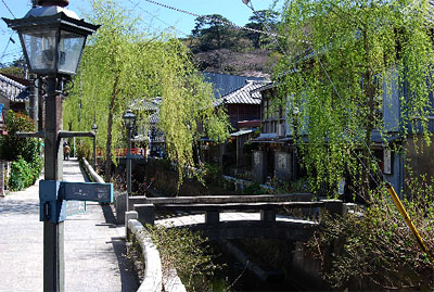 ペリーロードの柳の新緑とガス灯