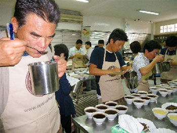 サリマクムール社（輸出業者）でのカッピング風景