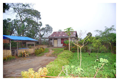 前回視察時の小農家風景