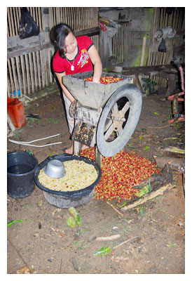 パルパーを廻し果肉を取りはぶく少女