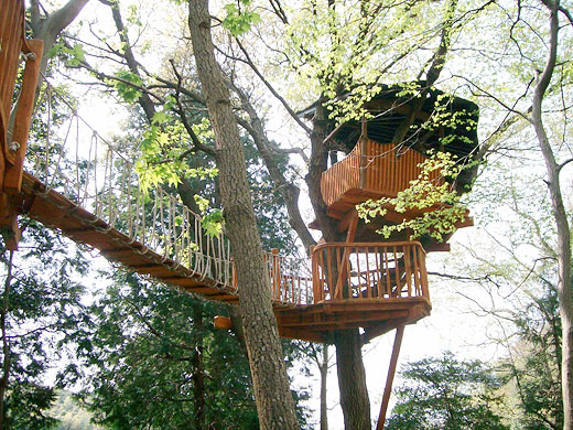 茅ヶ崎 市民の森 小林崇氏制作ツリーハウス