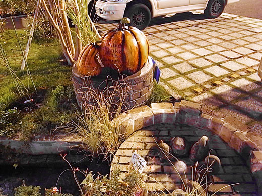 井戸の大カボチャ