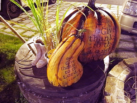 井戸の大カボチャ