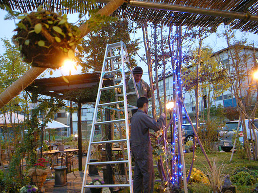 イルミネーション取り付け作業中