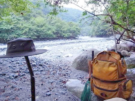 コーヒーを飲みながら朝食